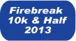 Firebreak2013